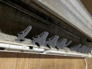IMG_9359