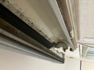 IMG_94241