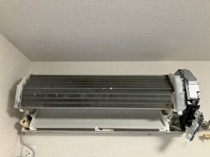 IMG_95431