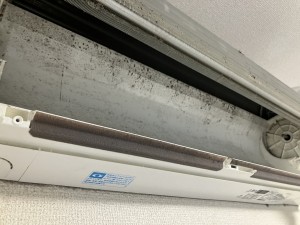 IMG_95451