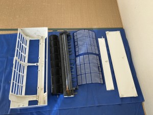 IMG_9555