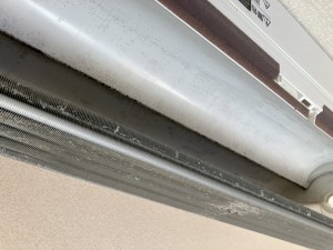 IMG_9558