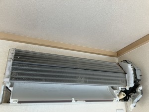 IMG_95591