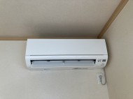 IMG_95671