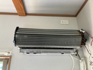 IMG_9624-1